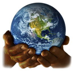 Website translation services