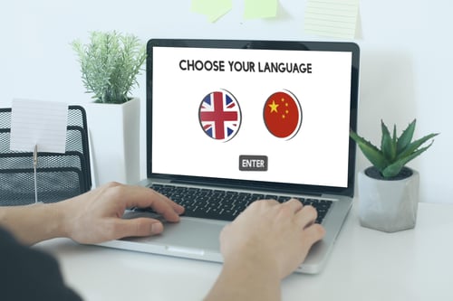 choose your language