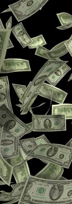 cost of translation