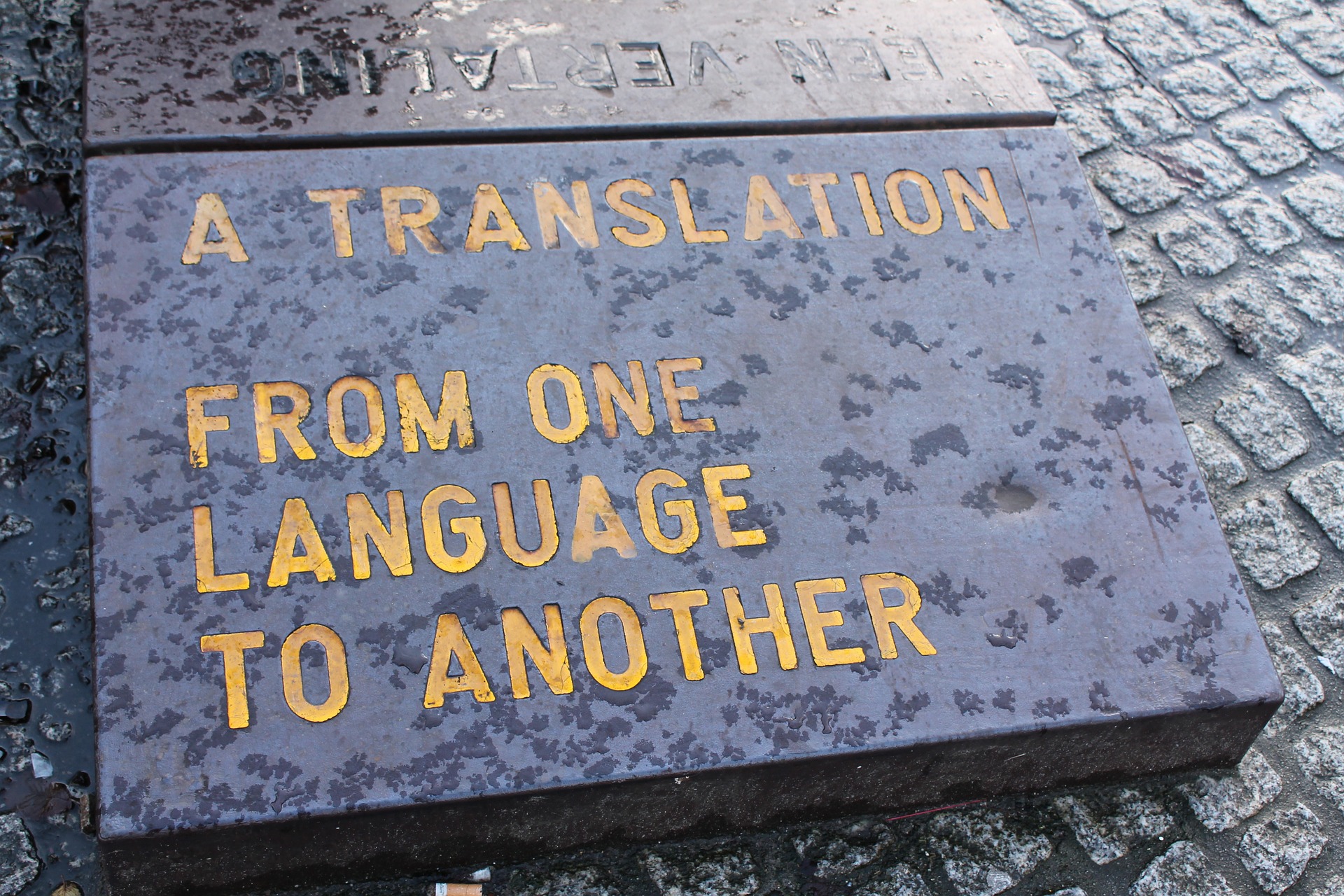 International Translation Day