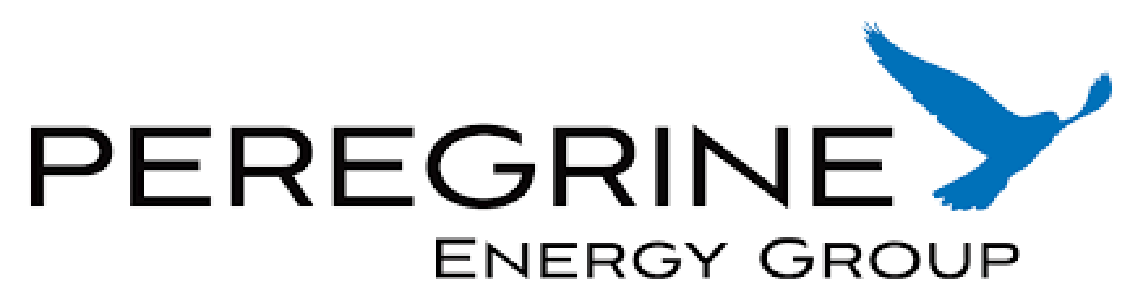 peregrine energy group case study