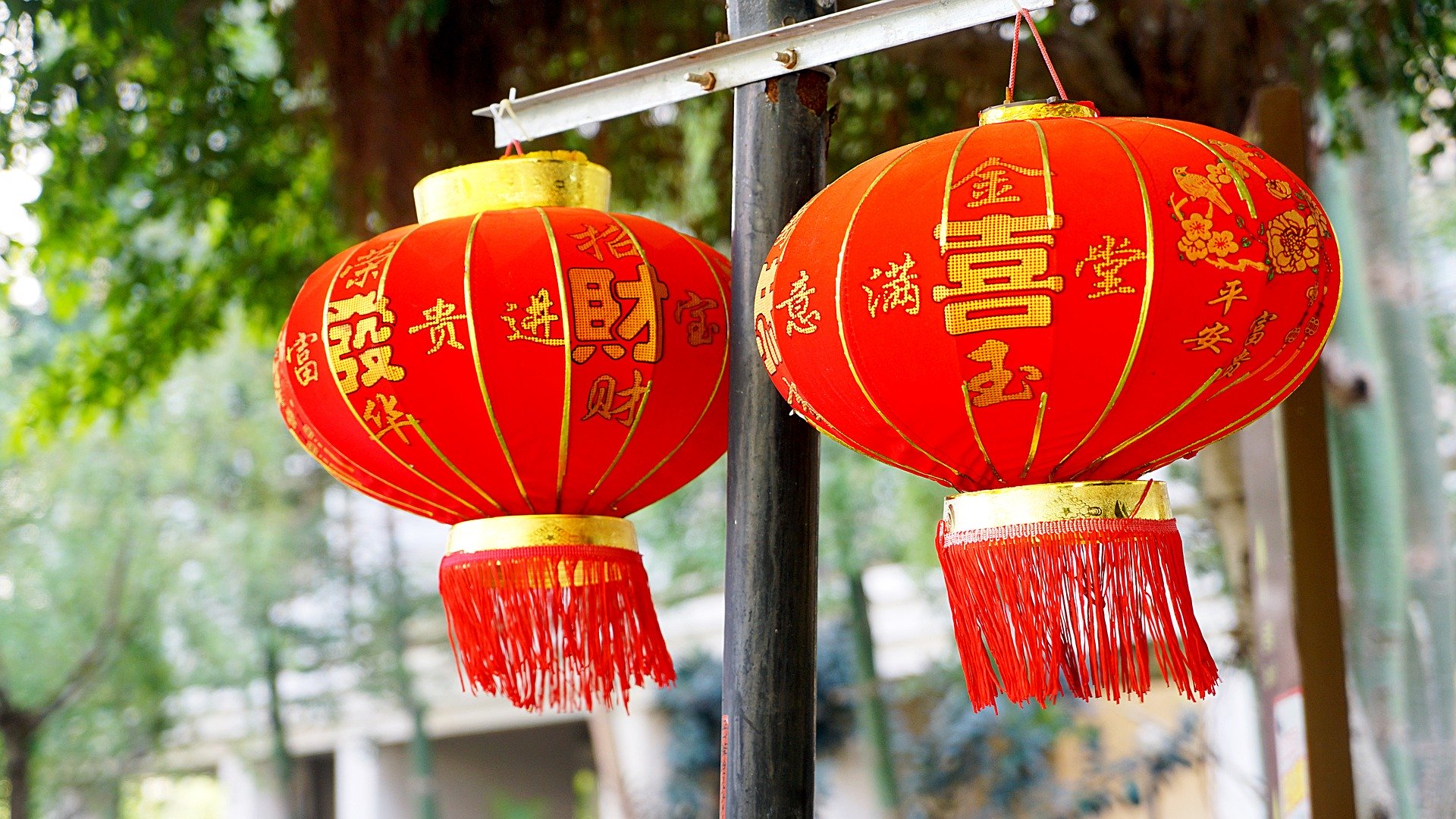 Good and Bad Luck for Chinese New Year