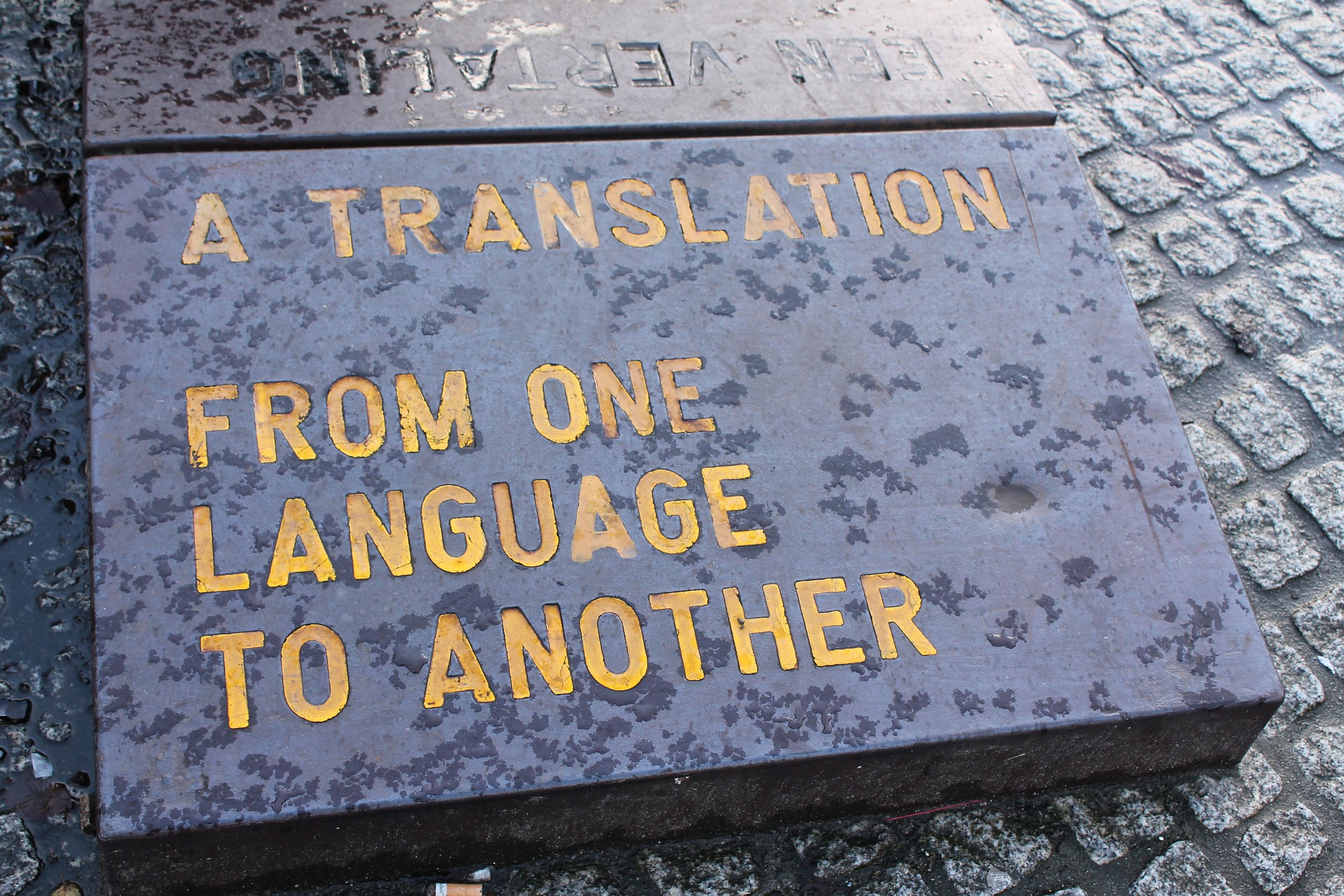 the Language of Translation
